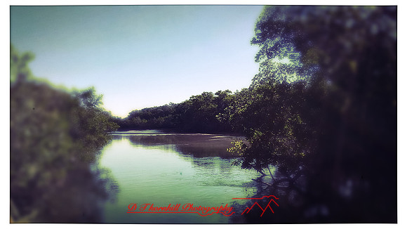 florida-march-2016-iphone-random-018