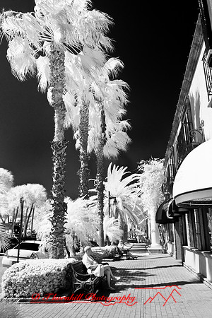 florida-2008-people-infrared_24-nik.jpg