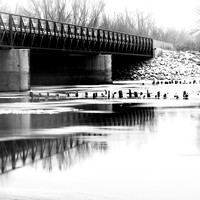 shadow-light-project-river-ice-2014-003-nas