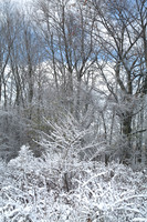 shiawassee_november_2007-04