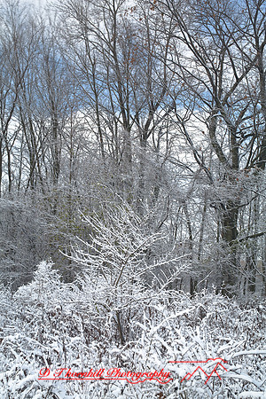 shiawassee_november_2007-04