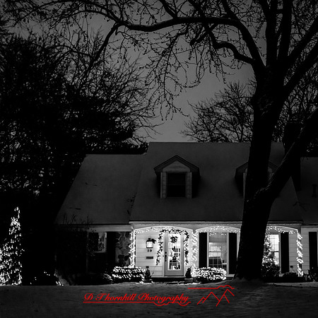 saginaw-christmas-2017-005