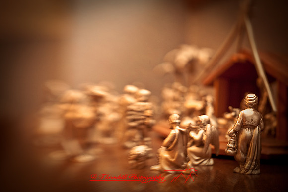 assorted_images-2008_42.jpg