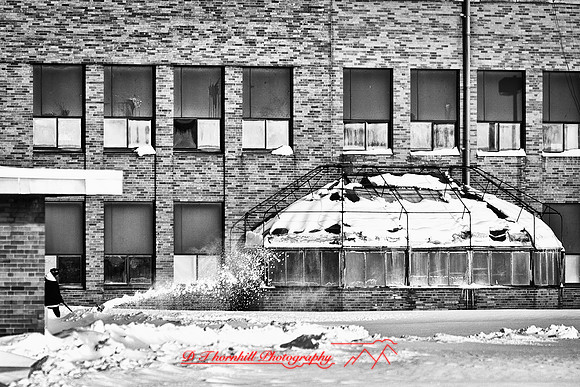 assorted_images-2012-044-nas