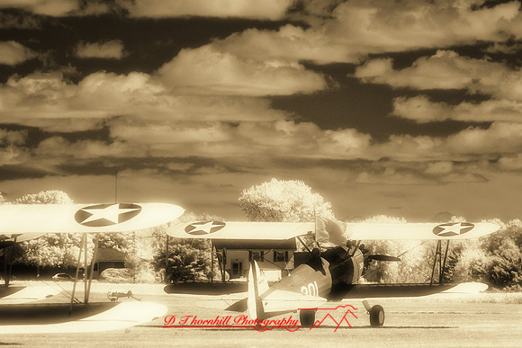 stearman-fly-in-2011-60-nas