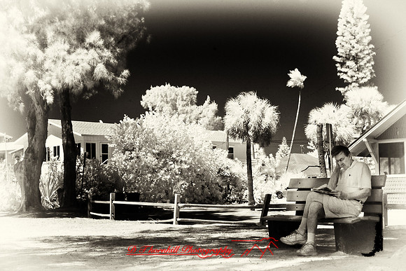florida-2008-people-infrared_28-nik.jpg