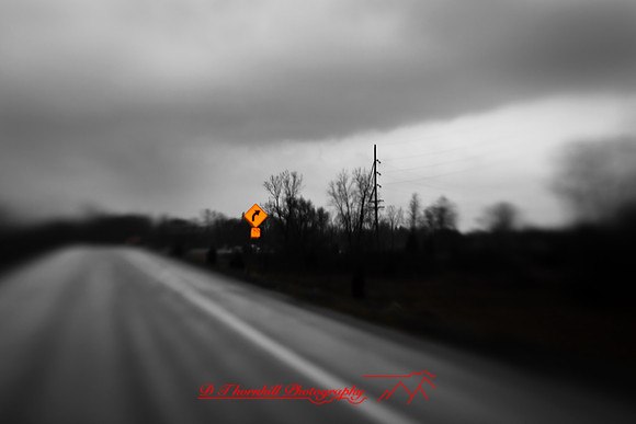 the-drive-2009_34.jpg