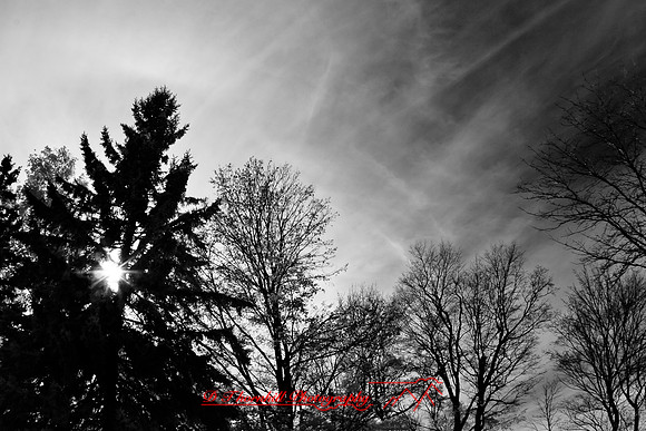 infrared_images-2012-020