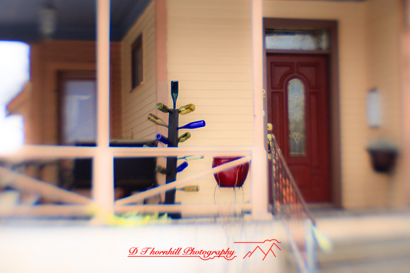 assorted_images-2009_96.jpg