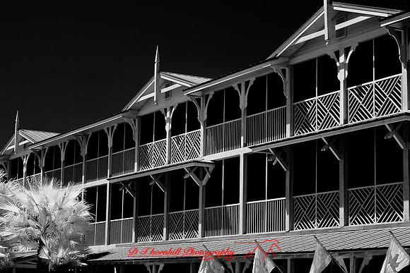 florida-2009-images-infrared_22.jpg