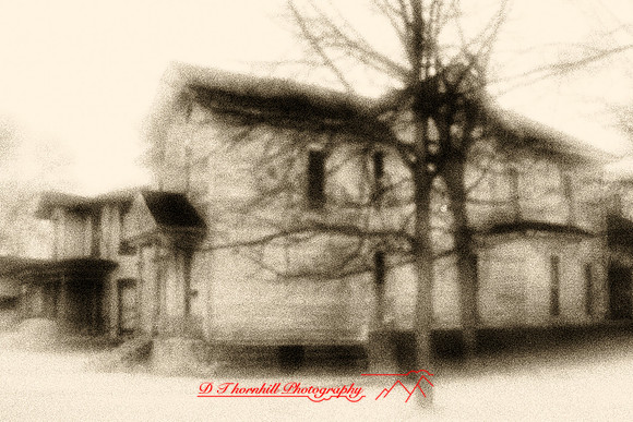 infrared_images-2011-014-nik
