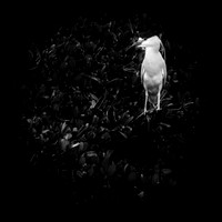 florida-march-2016-012