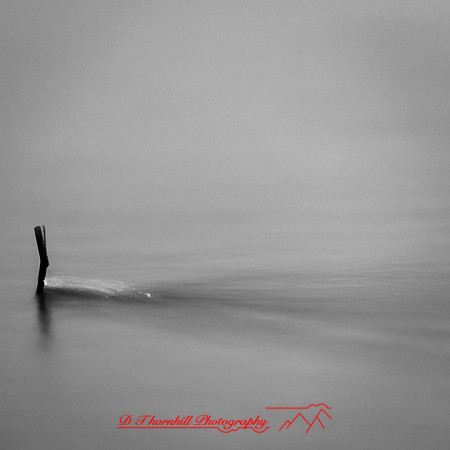 shadow-light-project-tawas-state-park-2014-005