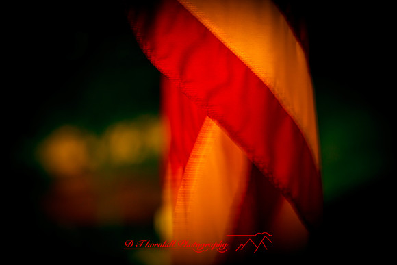 florida-images-2011-65