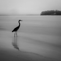 florida-march-2016-020