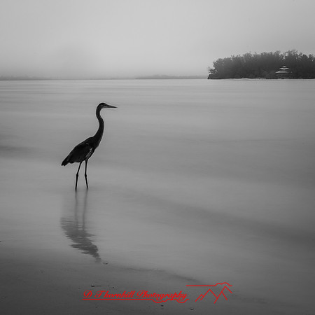 florida-march-2016-020