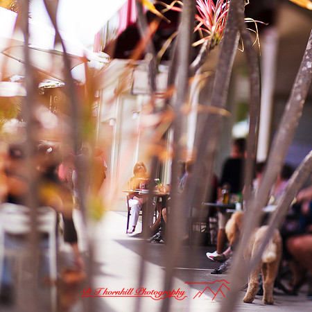 florida-2013-images-130