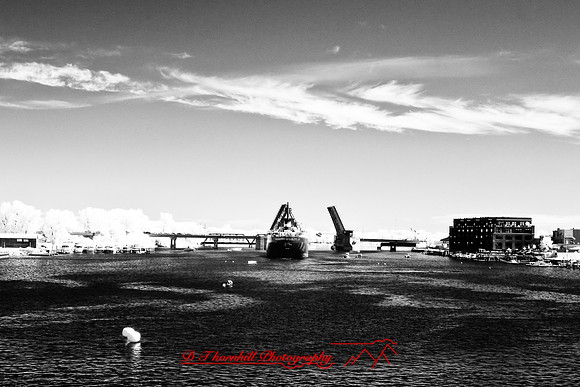river_roar-inrared-2008_22.jpg