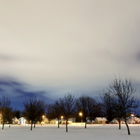assorted_images-2012-170