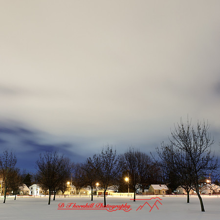 assorted_images-2012-170