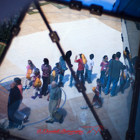 florida-2013-images-122