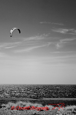 tawas-state-park-infrared-2008_024