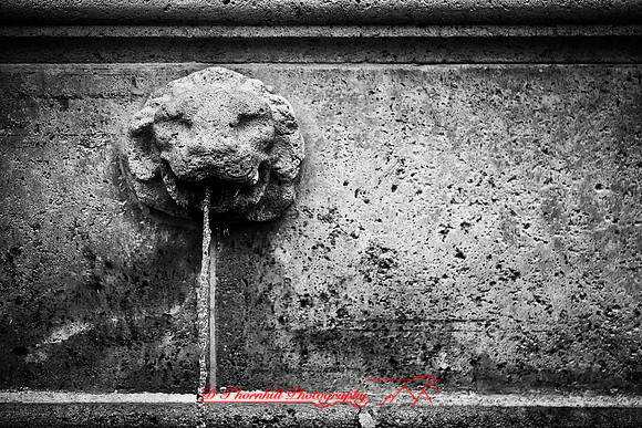 florida-images-2011-63-nas