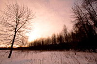shiawassee_feb-2008_02