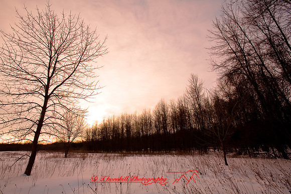 shiawassee_feb-2008_02