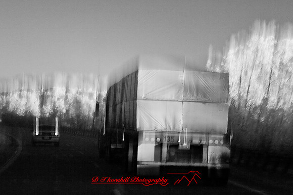 infrared-2008_144.jpg