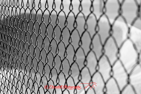 assorted_images-2012-051