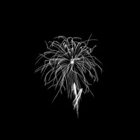 Saginaw Infrared Christmas Fireworks 2018 004