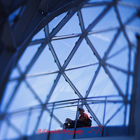 florida-2013-images-124