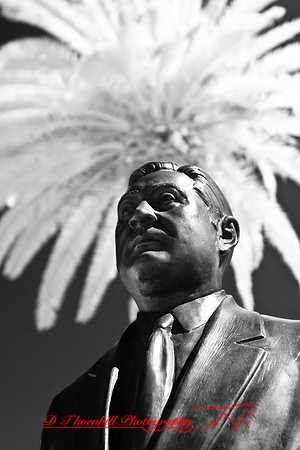 florida-2008-images-infrared_27.jpg