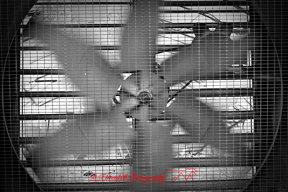 infrared-2009-random_13.jpg