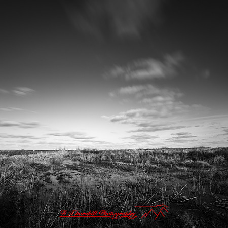 shadow-light-project-bay-city-state-park-2014-010