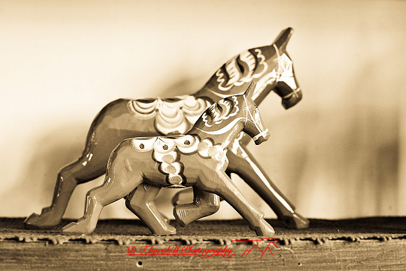 assorted_images-2007-67