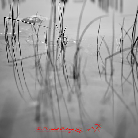 long_exposure_images-2013-106