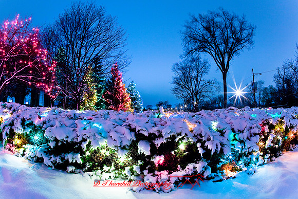 saginaw_christmas-2007-6