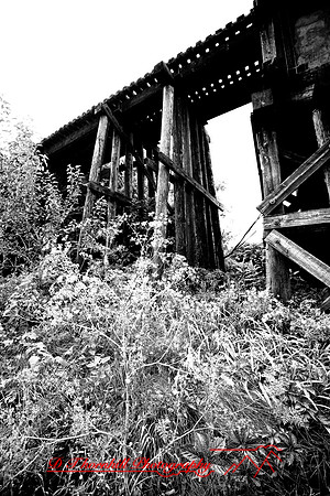 assorted_images-2007-01