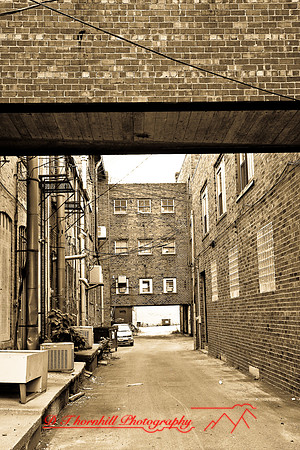 assorted_images-2007-81