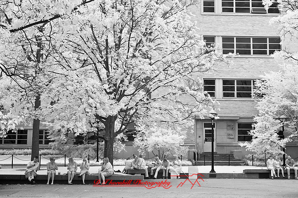infrared-2008_076