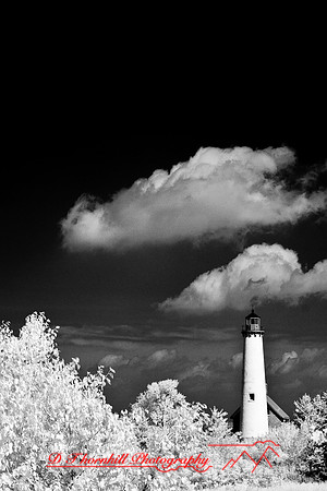 tawas-state-park-infrared-2008_016