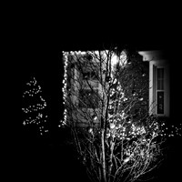 Saginaw-2019-christmas-012