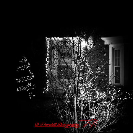 Saginaw-2019-christmas-012