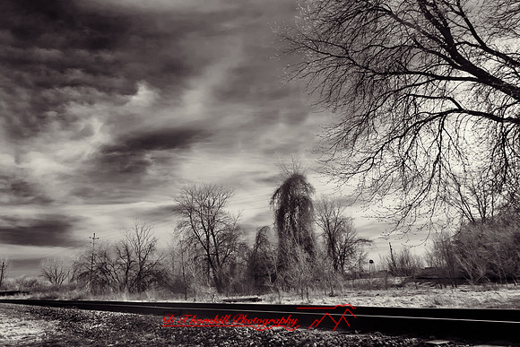 infrared-bay-city-2010-02-nik