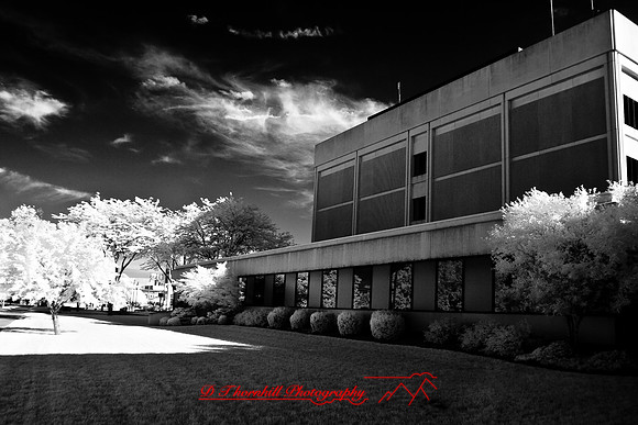 infrared-2008_004