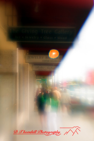 florida-2010-people_03
