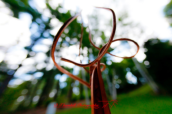dow-gardens-2010_02