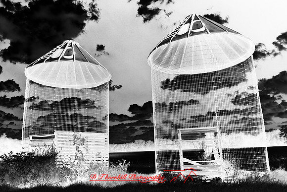 infrared-2009-the_farm_09-nik.jpg